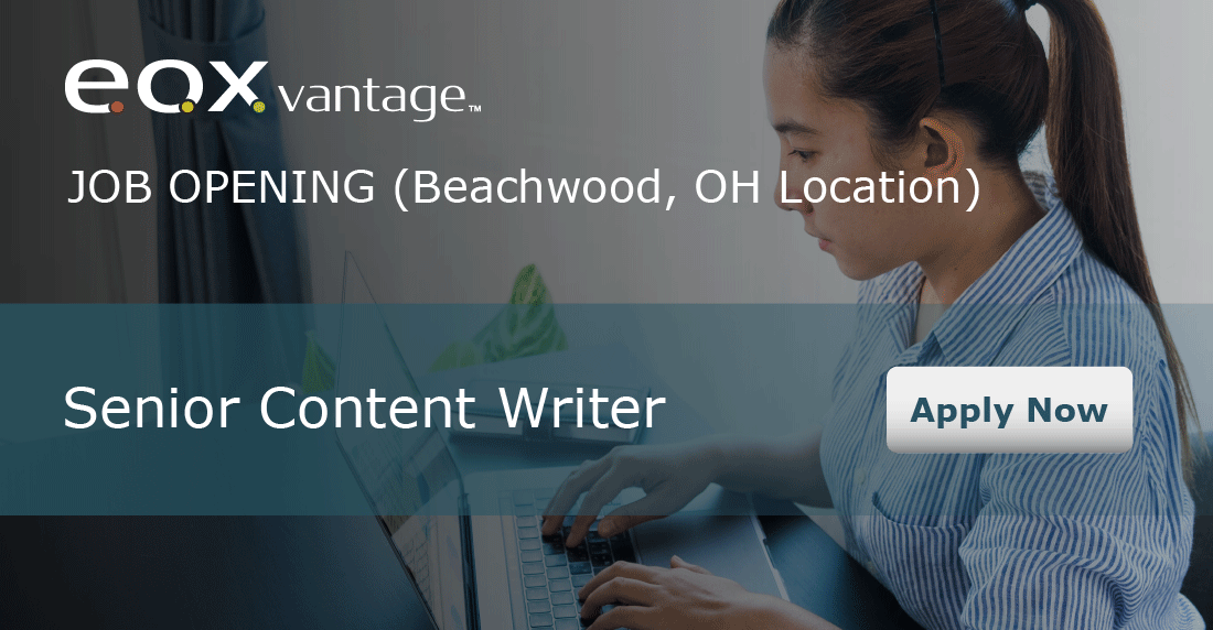 The Senior Content Writer produces blog content